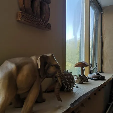 Alloggio per agriturismo South African Westbeemster